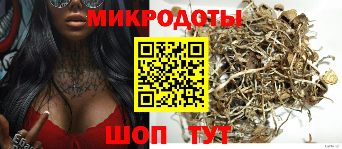 Галлюциногенные грибы прущие грибы  Псилоцибиновые грибы Cubensis  Кохма  Вход с VPN 