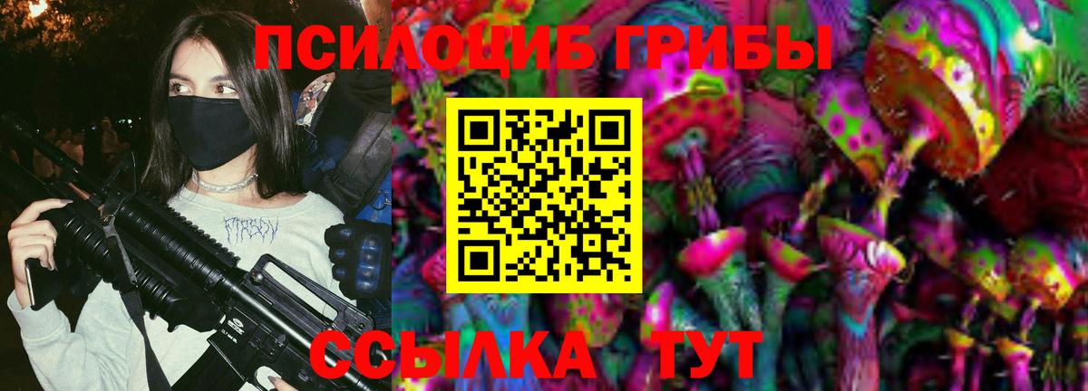 Галлюциногенные грибы MAGIC MUSHROOMS Кохма